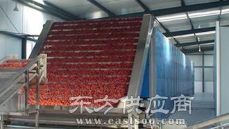 龍躍網(wǎng)鏈廠 龍躍網(wǎng)帶輸送機生產(chǎn) 南平網(wǎng)帶輸送機圖片