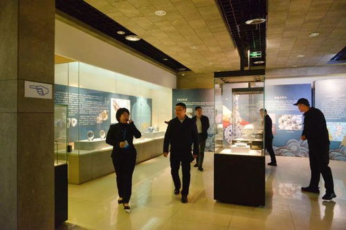 副市長林湫一行蒞臨南平市博物館調(diào)研指導丨寬創(chuàng)國際博物館設計