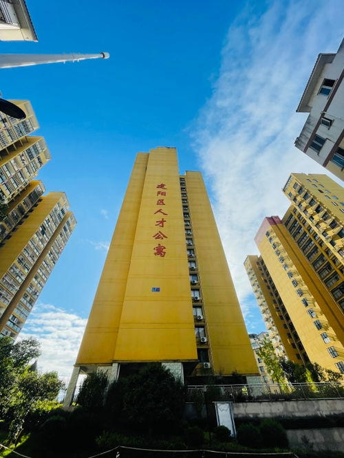 南平建陽區 人才引擎 驅動高質量發展