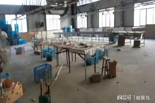 恭喜啊 南平市的一座大型工廠第三次拍賣,被人以582.6萬元競得